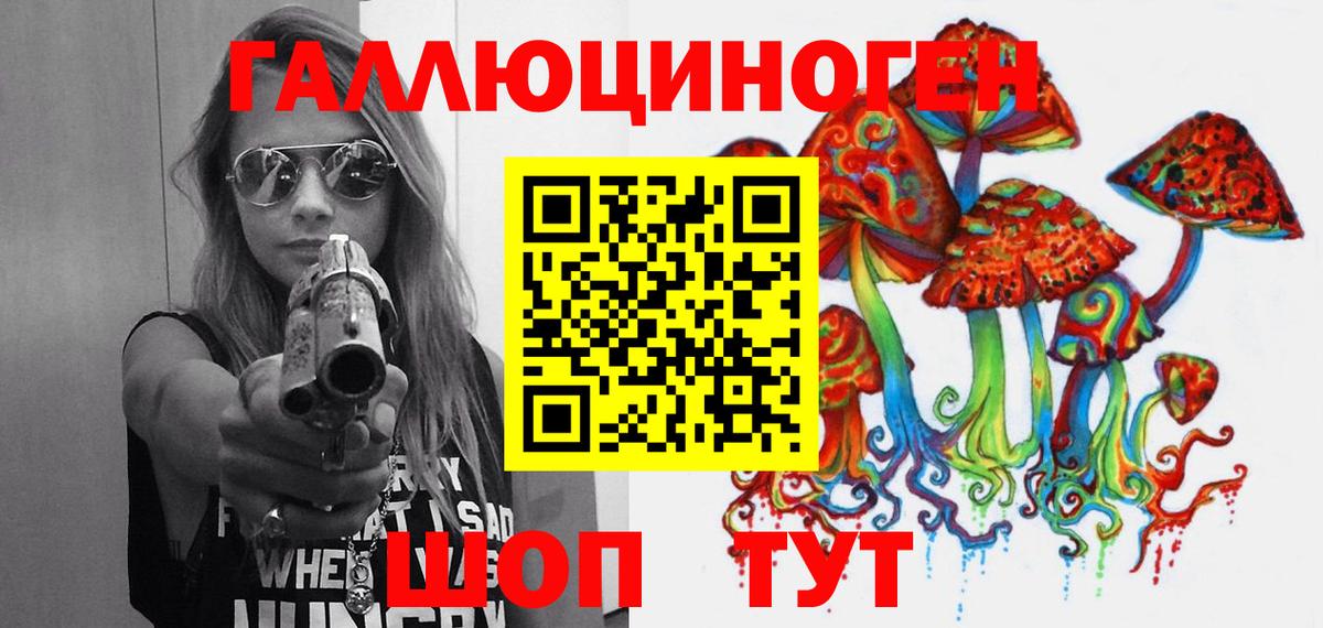 Курчатов  Галлюциногенные грибы ЛСД  Вход с VPN 